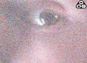 Image brasil-andre-virtual-desbotado-das-webcams1